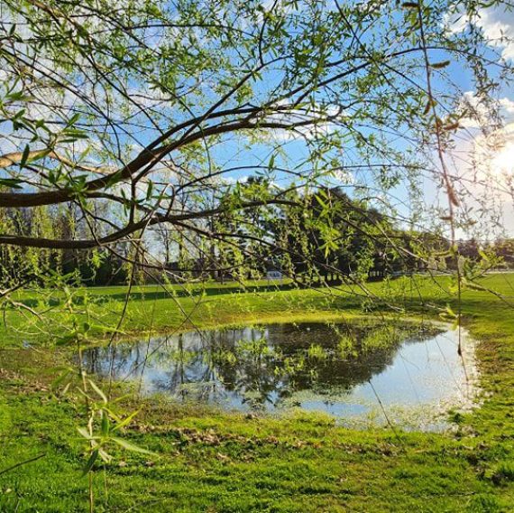 Scenic green lawn with pond, trees, and fountain on the grounds of Brook Pointe Resort in Syracuse, Indiana under a bright sunny sky