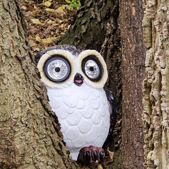 A decorative owl figurine with large, sparkling eyes perched on a tree trunk, surrounded by autumn leaves at Brook Pointe Resort Syracuse Indiana