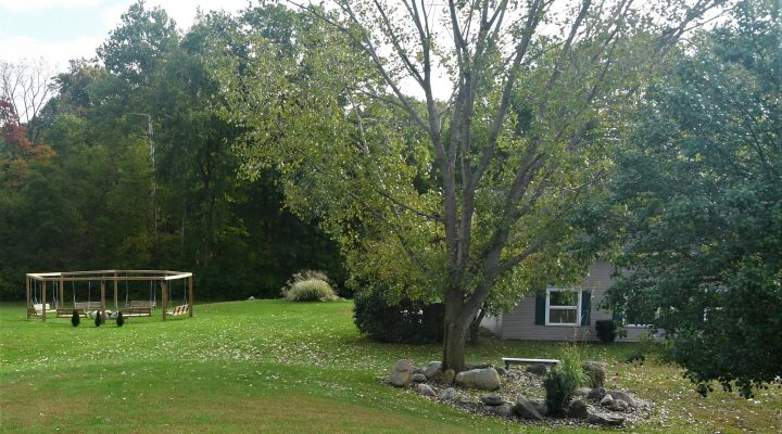 Outdoor gazebo at Brook Pointe Resort surrounded by greenery