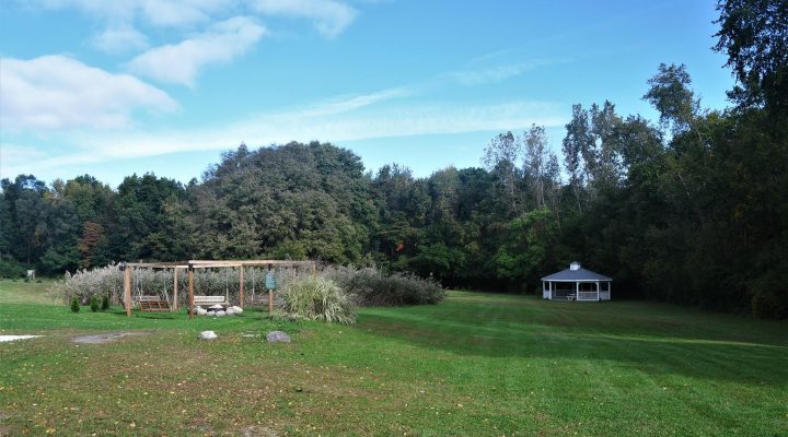 Wooden swing seating in the garden at Brook Pointe Resort