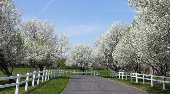 Cloudy sky view over Brook Pointe Resort