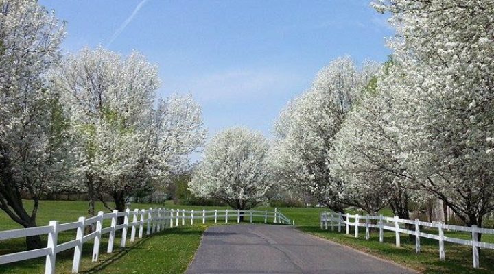 Front view of Brook Pointe Resort building