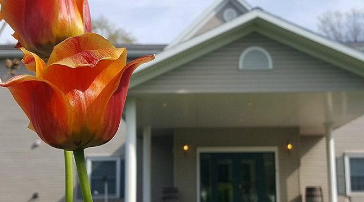Close‑up of colorful flowers blooming in a garden area at Brook Pointe Resort in Syracuse, Indiana