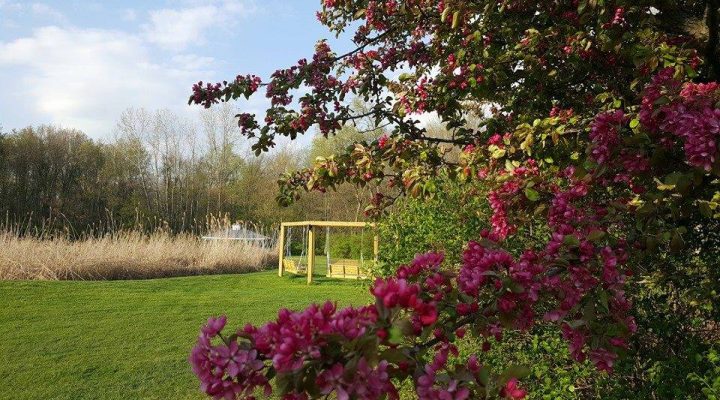 Vibrant flower display at Brook Pointe Resort