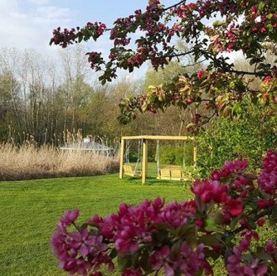 Outdoor wooden swings seating area at Brook Pointe Resort grounds in Syracuse, Indiana